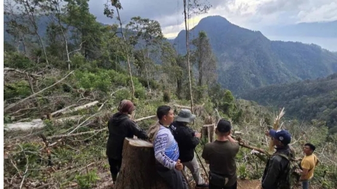 Polres Aceh Tengah tangkap kades terkait perambahan hutan lindung