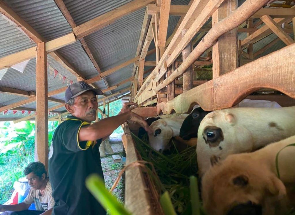 Konsistensi Peternak Jadi Kunci Keberhasilan Program Balai Ternak Jatimekar