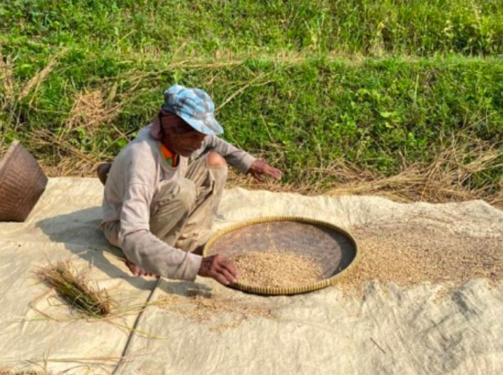 Panen Berkualitas di Sumedang, BAZNAS Perkuat Ketahanan Pangan Mustahik