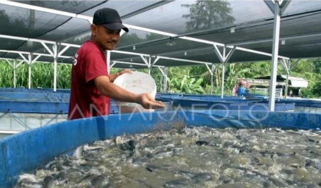 KKP dukung budi daya ikan bioflok untuk pemberdayaan desa