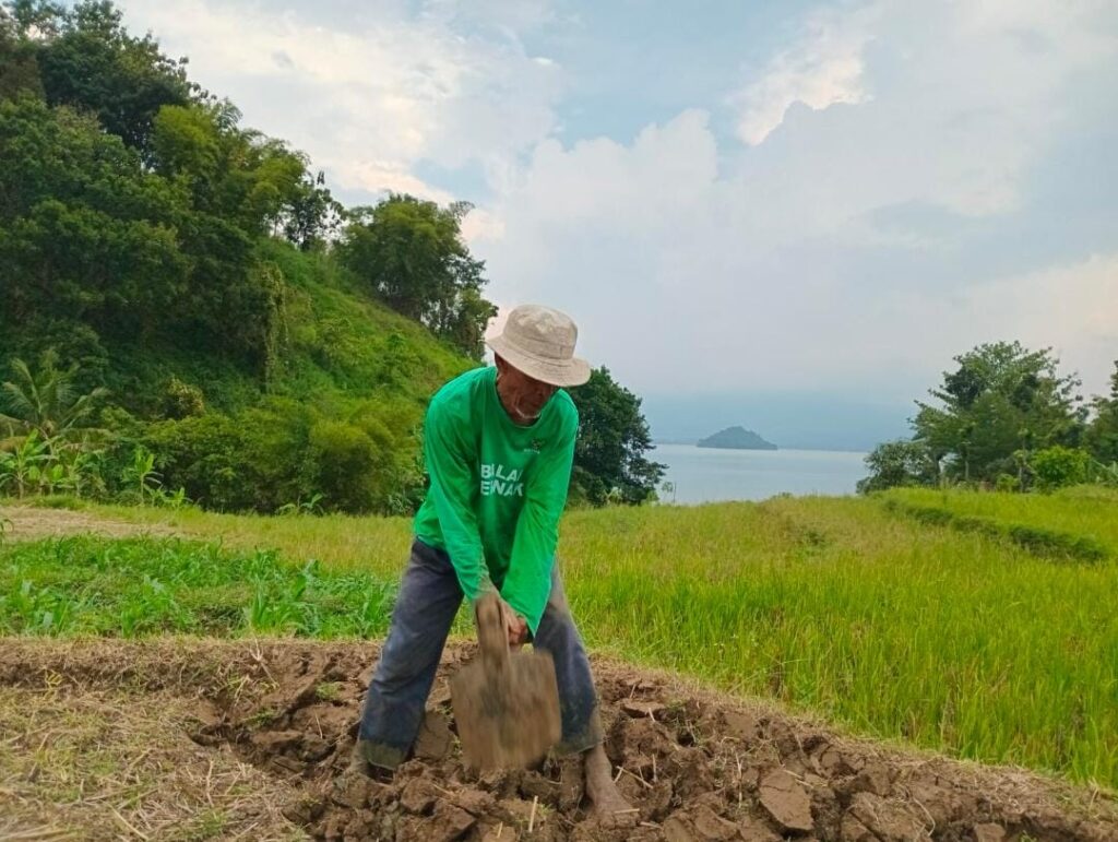 PETANI BINAAN BAZNAS KEMBANGKAN  LAHAN PERTANIAN BERNILAI EKONOMI